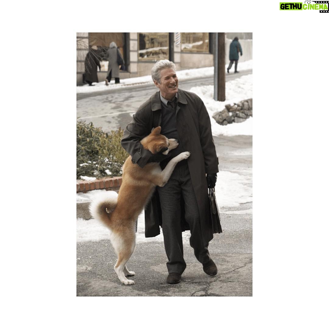 Richard Gere - 5.4K Likes - #RichardGere #richard #gere #richardtiffanygere #wunderful #usa #instamen #instafashion #prettymen #prettywoman #actor #amazing #awesome #film #followme #favoritefilm #followforfollow #giorgioarmani #lovehim #likeforlike #beautiful #bestactor #bestmovie #ny #newyork #movie #mensfashion #menwithstyle #silverfox