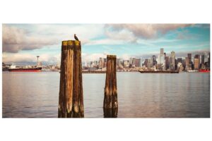 Richard Rankin Instagram - More #Seattle. #lowres #leicam11