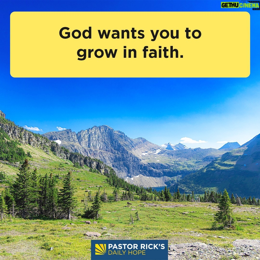Rick Warren - 2.1K Likes - Why is it so important to develop your faith? Because everything God does in your life he does by his grace and through your faith. Discover more in today’s #DailyHope devotional. Click the link in profile or visit http://bit.ly/pastorrick.