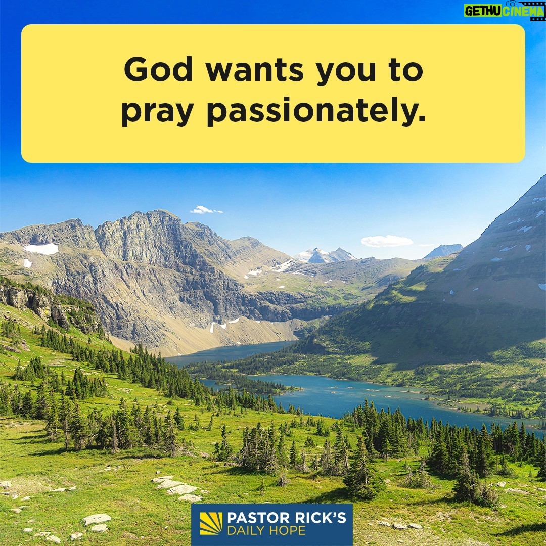 Rick Warren - 2.5K Likes - When you’re desperate, that’s not the time for a rote, predictable prayer. It’s time for a passionate one, as you’ll discover in today’s #DailyHope devotional. Click the link in profile or visit http://bit.ly/pastorrick.