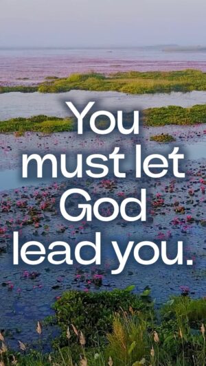 Rick Warren Instagram - We all have desires. But not all of them are good desires. Don’t be led by your emotions, but be led by the Spirit.

Get more hope and encouragement daily! (Pastorrick.com/study)