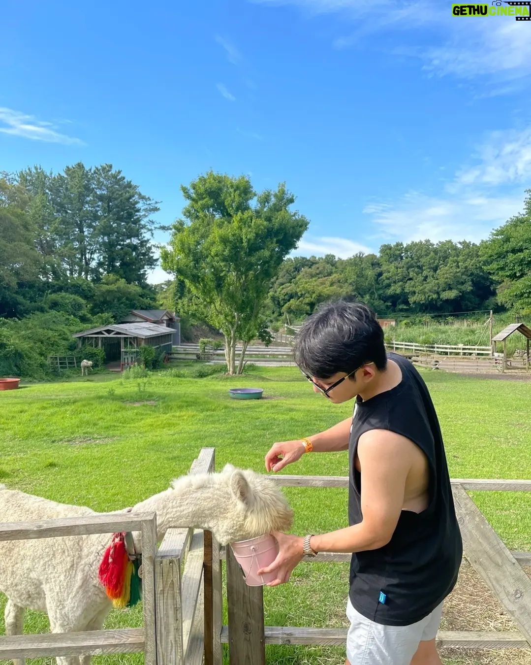 Ricky - 9.3K Likes - 제주살이 3일차 🌴