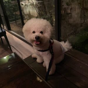 Ricky Instagram - 아이착해~