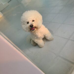 Ricky Instagram - 꼬물...