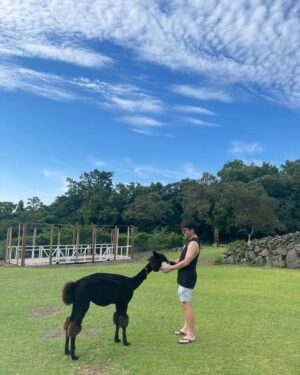 Ricky Instagram - 제주살이 3일차 🌴