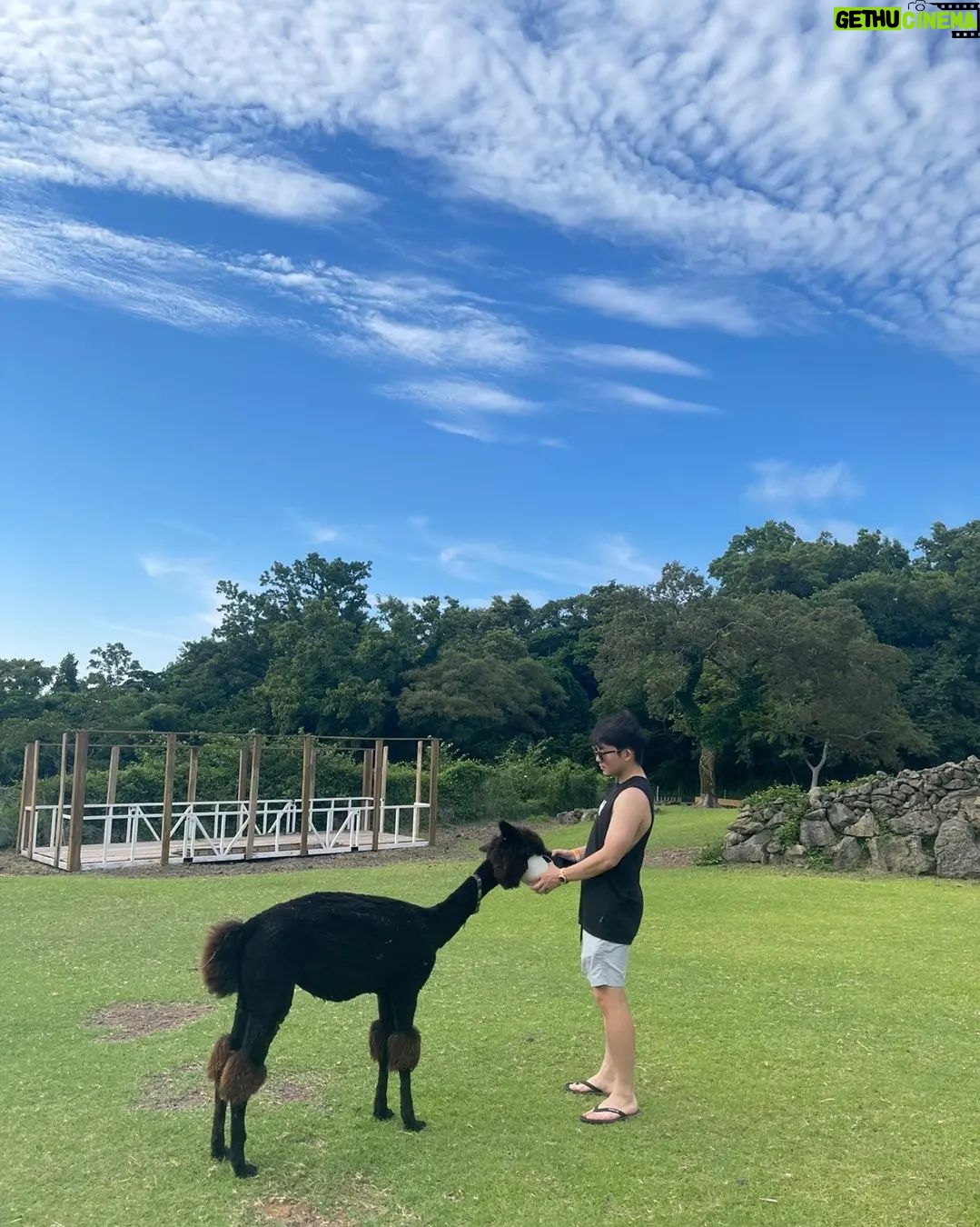 Ricky - 9.3K Likes - 제주살이 3일차 🌴