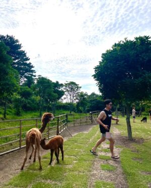 Ricky Instagram - 제주살이 3일차 🌴