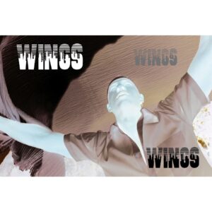 Rie Rasmussen Instagram - Wings OUT NOW - streaming everywhere. Link in BIO. By @iamcalebjermaine 

.
.
.
.
.
.
.
.
.
#artistsoninstagram #artist #artistsofinstagram #singer #song #songwriter #producer #musicproducer #musica #synclicensing #nosamples #selfcare #indie #indiemusic #calebjermainemusic #malemodel #cesd #cesdtalent #love #wings #world #photography #photooftheday #angel #angelwings #lovinglife