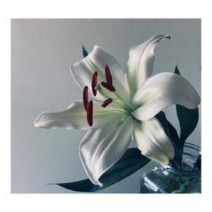 Rie Rasmussen Instagram - Flower power. Hope love
