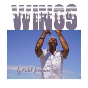 Rie Rasmussen Instagram - Wings by @iamcalebjermaine • out now • 🖤🤍🖤

.
.
.
.
.
.
.
.
.
#artistsoninstagram #artist #artistsofinstagram #singer #song #songwriter #producer #musicproducer #musica #synclicensing #nosamples #selfcare #indie #indiemusic #calebjermainemusic #malemodel #cesd #cesdtalent #love #wings #world #photography #photooftheday #angel #angelwings #lovinglife