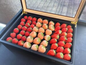 Rika Nagae Instagram - アフヌンチケットありがとうございます🍓with母