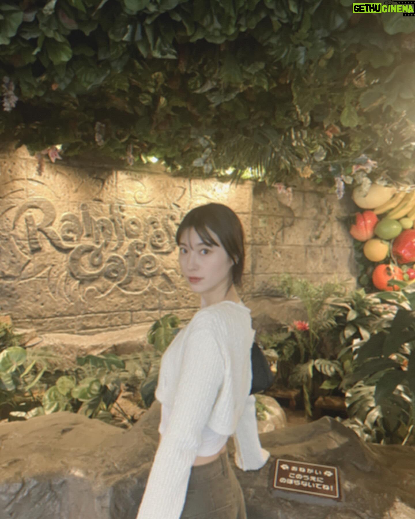 Rina Koyama - 3 Likes - 🇰🇷行った時にGETした @matinkim_magazine のニット🌸
もう着れるタイミング無いかな~と思ったら
この間少し涼しくて着れた♡嬉しい
#matinkim #오오티디 #오오티디룩 #오오티디패션 #패션그램 #데일리패션 #데일리 #데일리그램 #데일리코디 #데일리스타그램