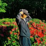 Rintaro Hachimura