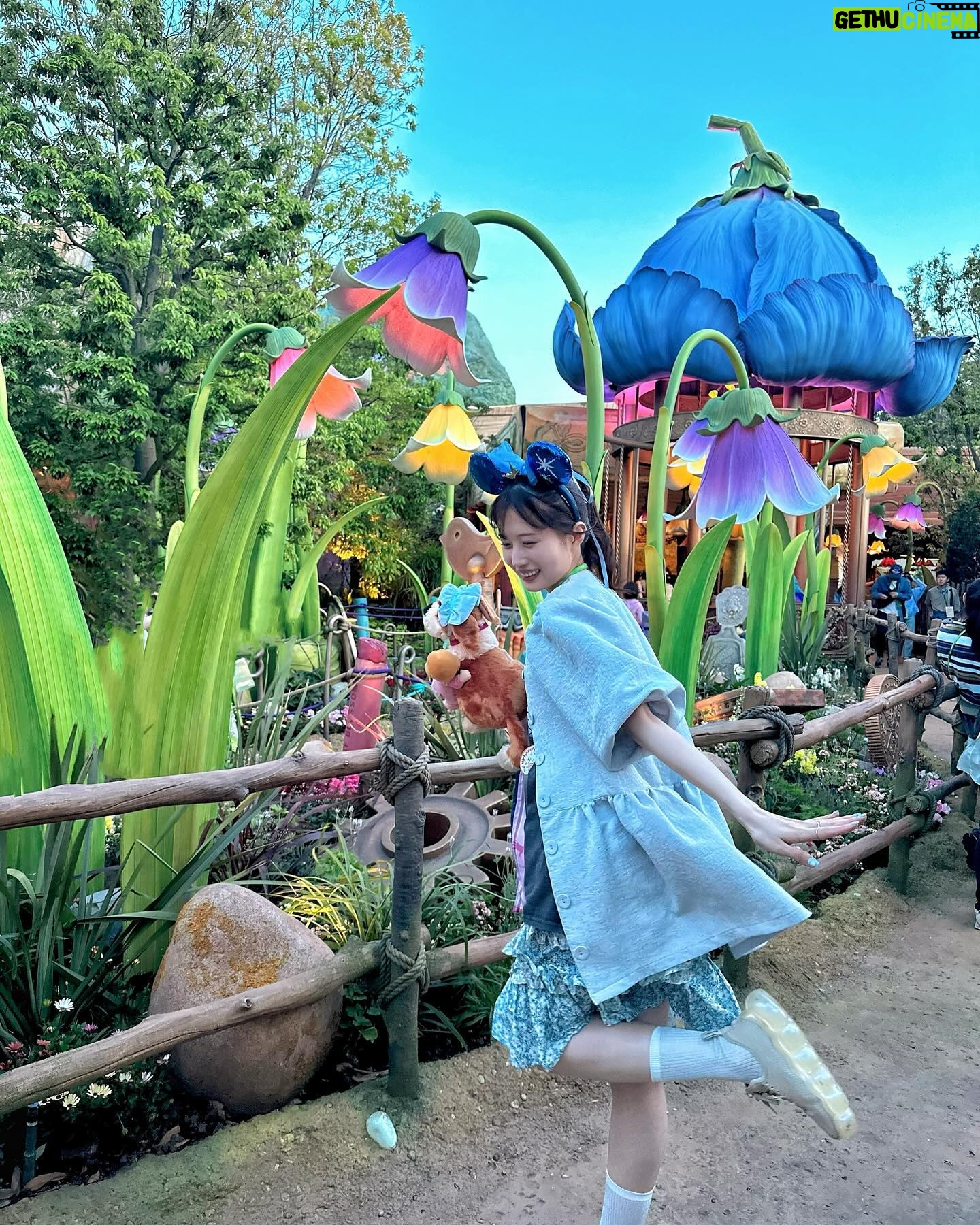 Ririko Masuzawa - 230 Likes -
☁️⛰️𝙏𝙝𝙞𝙣𝙠 𝙤𝙛 𝙩𝙝𝙚 𝙝𝙖𝙥𝙥𝙞𝙚𝙨𝙩 𝙩𝙝𝙞𝙣𝙜𝙨✨🧚♀️
ファンタジースプリングスの中で
一番心待ちにしていた
『ピーター・パン』のエリア🐊🫧
ネバーランドそのもので、本当に感動🥺
ピクシーホロウにも遊びに行けるので、
本当に本当に幸せな空間でした🐻🦊🐰🦨🦝🦝
「ピーターパンのネバーランドアドベンチャー」は
ピーターパン達と本当に空を飛べるので、
わたしの夢は叶いました😭😭😭🩵💙🩵💙
作中に出てくるキャラクターが余す事なく
出て来て、乗り終わった後に"皆いる‼️"と叫んだ程😂
ピーターはイケメンだし、
ウェンディ、ティンク、ナナ、マーメイド、マイケル、マイケルのテディ、ジョン、リリー、ロストボーイズは本当に可愛くて(多)幸せ………
三半規管が弱い方は酔い止め飲んで乗るのがいいかも🫨
「フェアリー・ティンカーベルのビジーバギー」は
キッズも楽しく乗れるけど、動きがふわふわしてて
一つ一つの四季の景色が『ティンカー・ベル』
シリーズで出てくる景色を思い出させてくれるし、
お馴染みの動物達もいるので超満足でした🐞🌼
海賊船からネバーランドが見えるのもとっても可愛かったな…
もっとじっくり見たい…グッズも買えなかった分早く買いたい……!
いつ妖精の粉をかけられても、
空を飛べるような人間になりたいと思っているけれど、
そんな願いが叶う場所でした🌠
thank you so much❤︎ @tokyodisneyresort_official
#東京ディズニーシー #東京ディズニーリゾート #ファンタジースプリングス #tokyodisneysea #tokyodisneyresort #fantasysprings #ピーターパン #ティンカーベル #peterpan #tinkerbell #neverland #ピーターパンのネバーランドアドベンチャー #フェアリーティンカーベルのビジーバギー