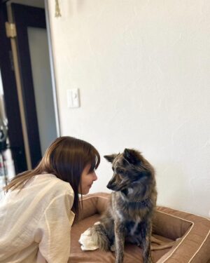 Risako Ito Instagram - 癒されましたぁ
ぽむちゃん、はじめまして♡
とってもお利口さんで美人さん！