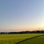 Risako Ito