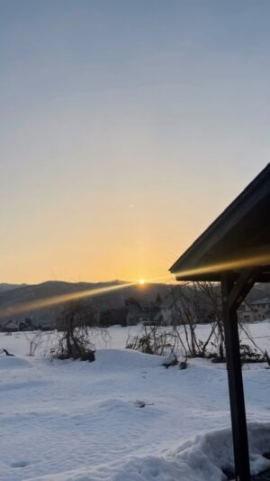 Risako Ito Instagram - 2023の思い出

今年はわたしにとって大きな変化の一年でした。
そして挑戦の年でもありました。
1日1日を後悔したくない、そんな気持ちでひたすら前だけを向いて、全て口に出したことは行動をするという自分で決めた約束を守りつづけました。
周りの方に支えられて、学ばせて頂いて、もちろん失敗することのほうが多くて、辛くて一人大泣きすることもあったけれど（笑）、間違いなく言えるのは今年一年が自分にとって悔いのない充実した一年であったいうことです😊
自分の未熟さ、課題、やりたいことは山のようにありますが...来年も一つ一つのことに丁寧に取り組みそして挑戦することをやめず走り続けたいと思います。
周りの方、応援してくださる方への感謝を絶対に忘れずに実りある一年になるよう精進します。

2024年が今からとっても楽しみ‼︎‼︎
今年一年、本当にありがとうございました。
良い年をお迎えください😌