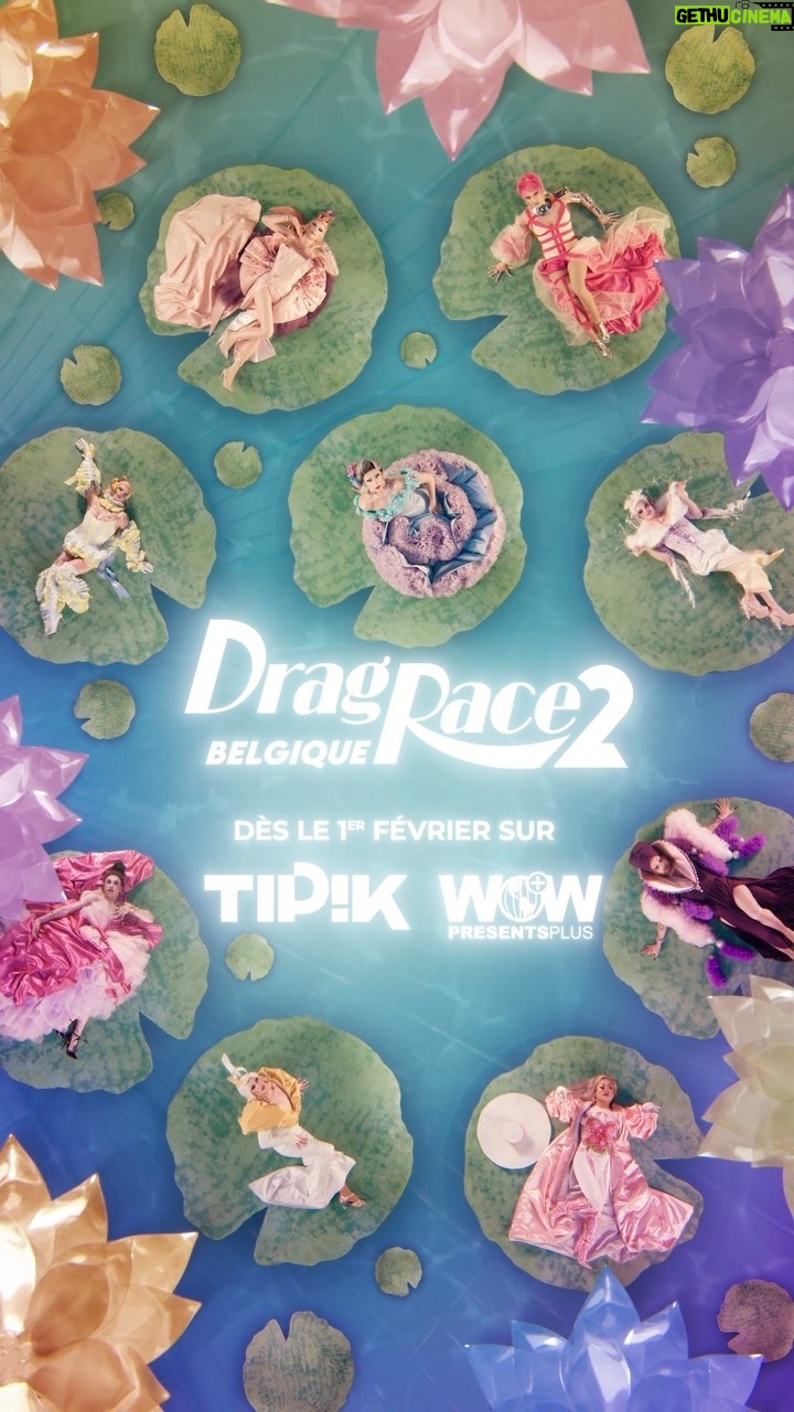 Rita Baga - 7.5K Likes - 👀 Et si nous ramenions le printemps un peu plus tôt ? 🪷
Avec un peu d’avance, la saison la plus extravagante de l’année arrive 💃🏽
À vos 𝐊𝐮𝐢𝐧𝐞𝐬, prêt-e-s… PARTEZZZZ 🏁
👑 #DragRaceBelgique 𝐬𝐚𝐢𝐬𝐨𝐧 𝟐, dès le 𝐣𝐞𝐮𝐝𝐢 𝟏𝐞𝐫 𝐟𝐞𝐯𝐫𝐢𝐞𝐫 sur Auvio.be, et le 𝟒 𝐟𝐞́𝐯𝐫𝐢𝐞𝐫 𝐞𝐧 𝐓𝐕 sur @TipikRTBF 📺
#worldofwonder #dragrace