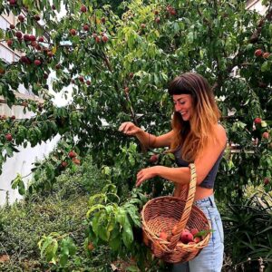 Rita Camarneiro Instagram - Rita's Peache "bla bla bla espetáculo de @bananapapaia dia 29 de Junho com o Raminhos, temos também novo episódio de podcast nas redes; o coisitas de rita está agora parado que tenho andado a dar vazão ao resto, mas depois redimo-me. Amanhã há espetáculo de stand-up em Monsanto, e fiquei de ir à rádio observador levar uns pêssegos, mas vai ter de ficar para o fim-de-semana"