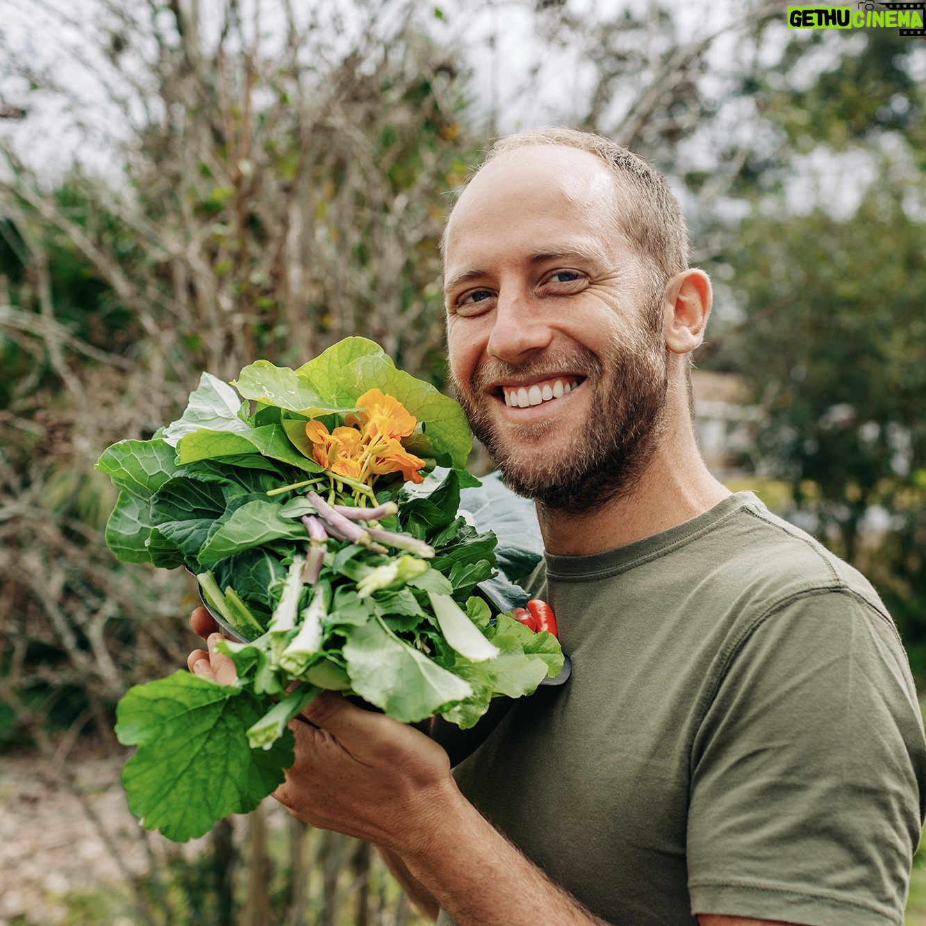Rob Greenfield - 3 Likes - Seeds for Schools!
I am elated to provide seeds to 1,200 schools across the US to help children grow food and connect more deeply with Earth and their communities.
The Grow Your Own Food Seed Pack has enough seeds to abundantly fill two 4×8’ raised beds with healing greens, hearty veggies, tasty herbs and a mix of flowers for our pollinator friends. The pack is perfect for starting a small garden at a school!
The Community Pack has enough seeds to abundantly fill thirty 4×8’ raised beds, with a variety of over 20 of the easiest to grow foods from seed. The pack is perfect for starting a large school garden or community initiative
What is Our Mission?
To help children, parents, teachers, school administrators and community members grow food at their schools!
We dream of this food being grown at schools by children and incorporating the harvest into their school lunch or by bringing it home to enjoy with their family. We dream of the seeds being distributed to children in the classroom to take home and grow, utilizing our educational guides.
We dream of community initiatives blossoming! Families growing their own food at home to pack for healthy school lunches… Backyard and front yard gardeners and small farmers to grow food to provide to school lunches…
How are We Supporting Beyond Seeds?
-We have a step-by-step video series and growing guide that shows exactly how to grow this food from planning the garden, to planting the seeds, to tending the garden, to harvesting the food!
-We will host a few live Q&A sessions where you can ask me any garden questions.
-We are providing grants of $250 to 5 schools to cover the costs to start a small garden.
Who’s Eligible?
Anyone who wants to and can grow food at their school or to benefit children at a school in their community!
How to Sign Up?
Submit your request for a seed pack at robingreenfield.org/seedsforschools
We will be shipping the first round of seeds in late April.
We are grateful to the Live Like Ally Foundation and Dan Keston for providing the funding to launch Seeds for Schools!
Want to contribute to Seeds for Schools? Go to our website to make a contribution!
Or order your seeds from us to fund us!