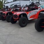 Robby Gordon