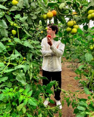 Robert Brosowski Instagram - Wieso, weshalb, warum sind überall Tomaten?
Erfahrt ihr in meinem neuen YouTube Video!🍅😄