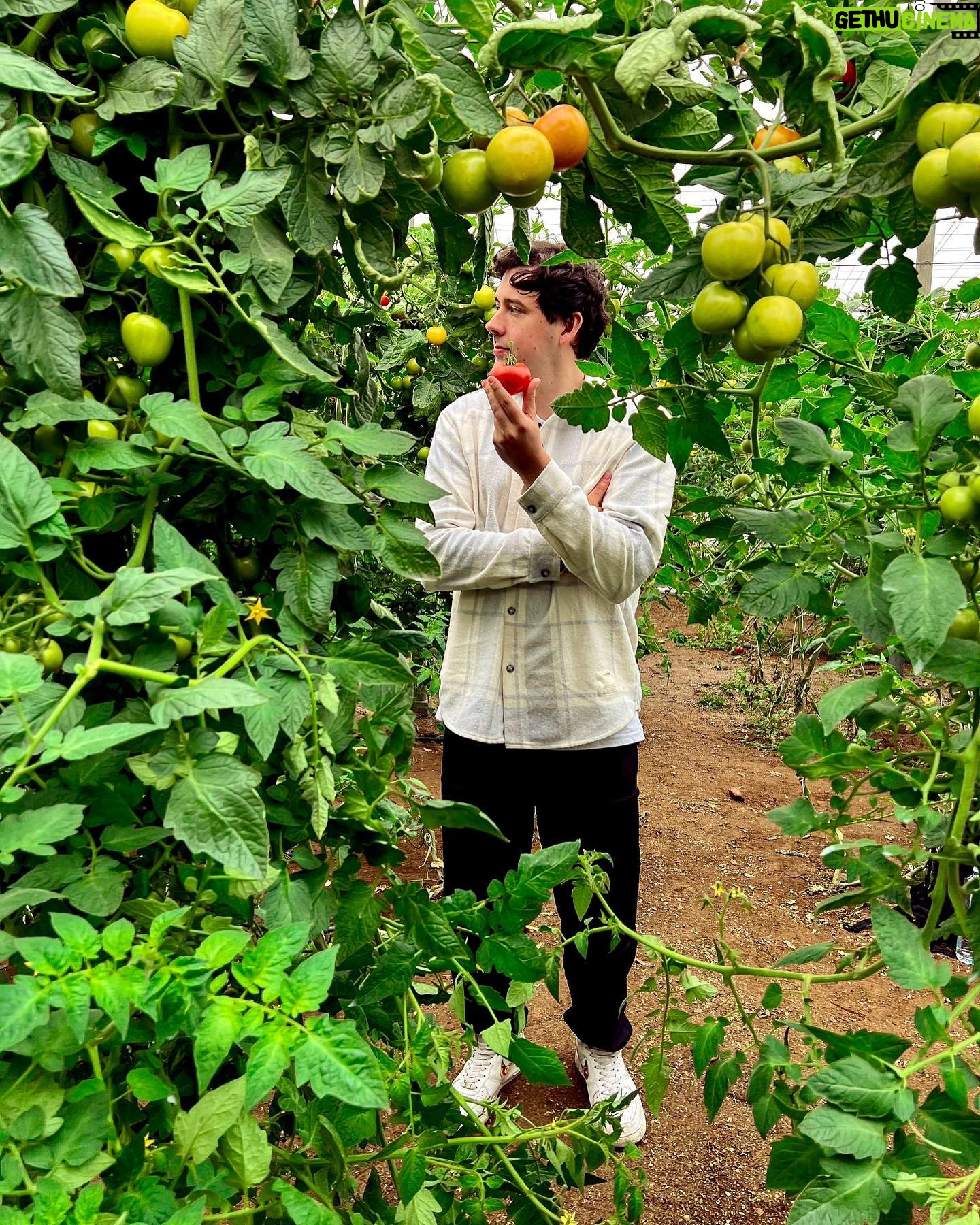 Robert Brosowski - 30.8K Likes - Wieso, weshalb, warum sind überall Tomaten?
Erfahrt ihr in meinem neuen YouTube Video!🍅😄