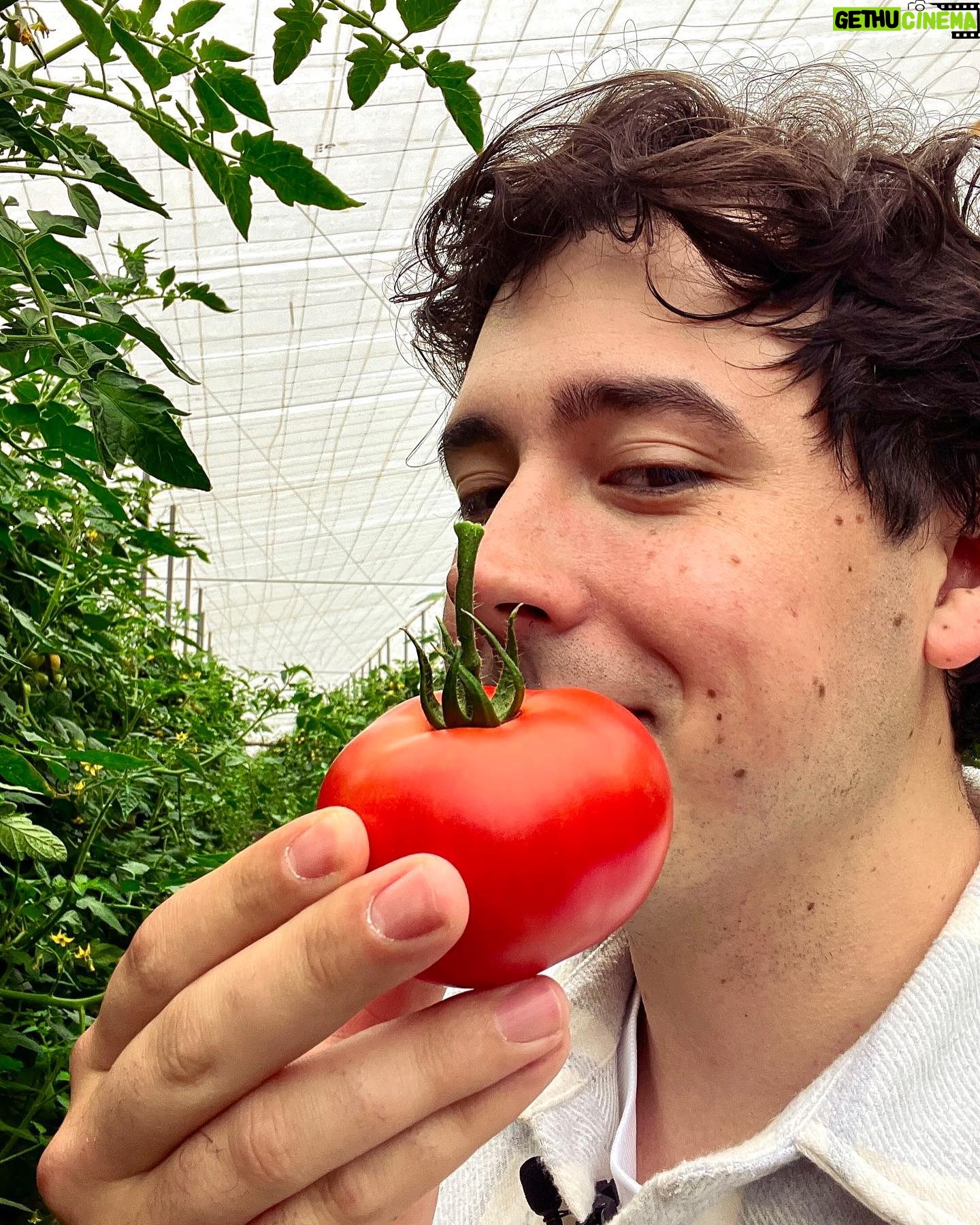 Robert Brosowski - 30.8K Likes - Wieso, weshalb, warum sind überall Tomaten?
Erfahrt ihr in meinem neuen YouTube Video!🍅😄