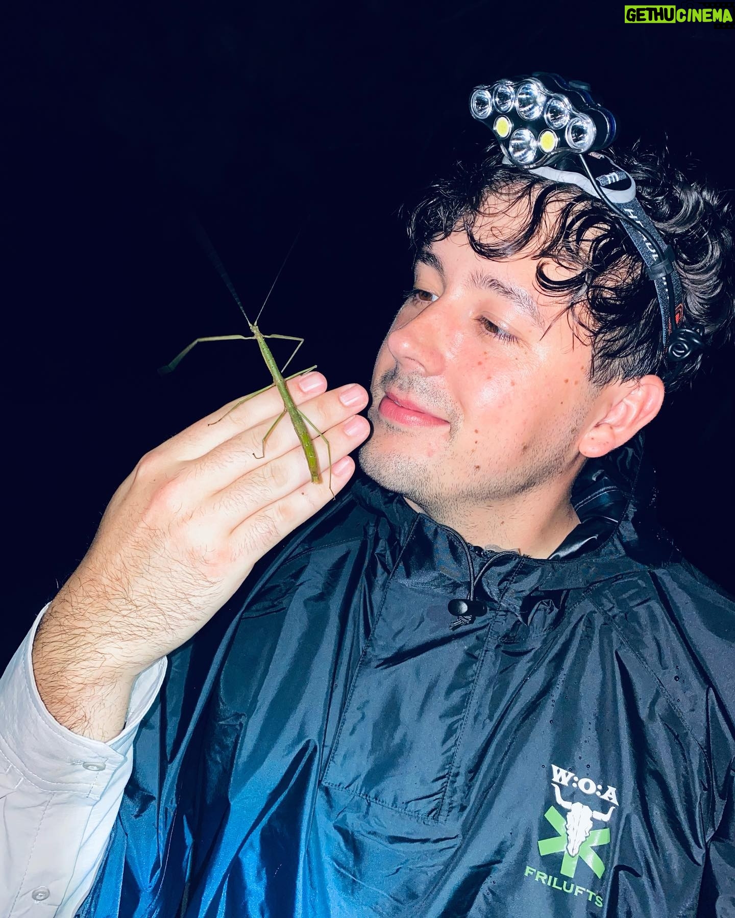 Robert Brosowski - 29.2K Likes - Werbung für die verrückteste Serie aller Zeiten!😂 Letztes Jahr hatte ich einer der verrücktesten Reisen meines Lebens! Auf einer Expedition im peruanischem Jungle, auf der Suche nach den einzigartigstens Insekten der Welt, durfte ich mich meiner Angst stellen und so viel über eine neue Welt erfahren! Falls ihr heute Abend Lachen und Lernen wollt dann schaut euch gern die Insektenjäger auf @joyn.de an! 😁
PS: Bild 4 ist ein Gericht was gerne von Insekten gegessen wird… nicht mein Erbrochenes!😂