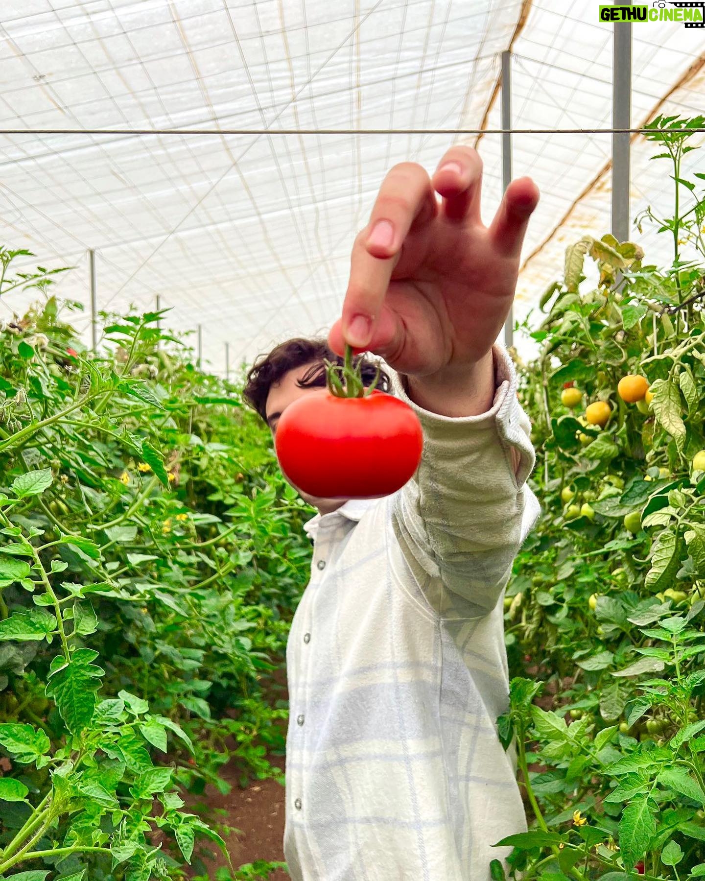 Robert Brosowski - 30.8K Likes - Wieso, weshalb, warum sind überall Tomaten?
Erfahrt ihr in meinem neuen YouTube Video!🍅😄