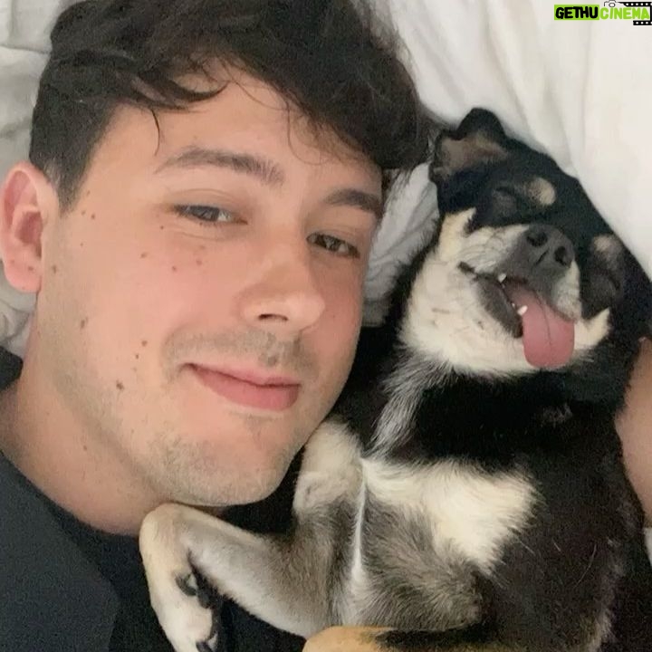 Robert Brosowski - 48.1K Likes - Es gibt nichts besseres als Sonntags einfach nur im Bett zu liegen, mit Doggo zu chillen und Reality TV zu schauen!😂
Was geht bei euch am Sonntag?😁