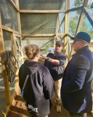 Robert Patrick Instagram - AMAZING!!! Such a beautiful experience,thank you @bonorong and thank you Tasmania!! 🇦🇺 

#tasmania #wombat #kangaroos #wildlifesanctuary