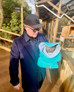 Robert Patrick Instagram - AMAZING!!! Such a beautiful experience,thank you @bonorong and thank you Tasmania!! 🇦🇺 

#tasmania #wombat #kangaroos #wildlifesanctuary