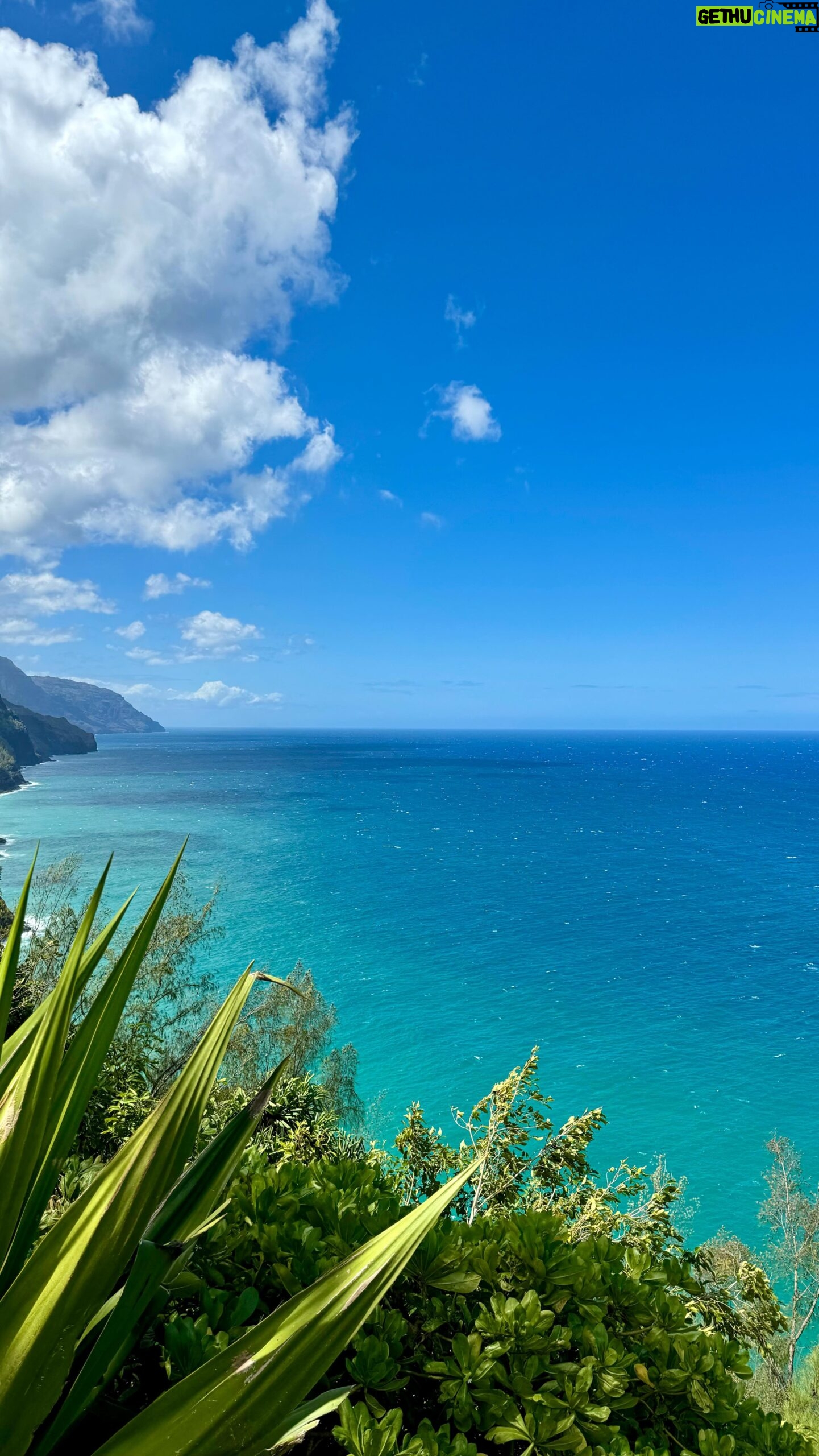 Roberto Portales - 1.8K Likes - Kauai Memories 🌊
#kauai #hawaii #scuba #napalicoast #travel