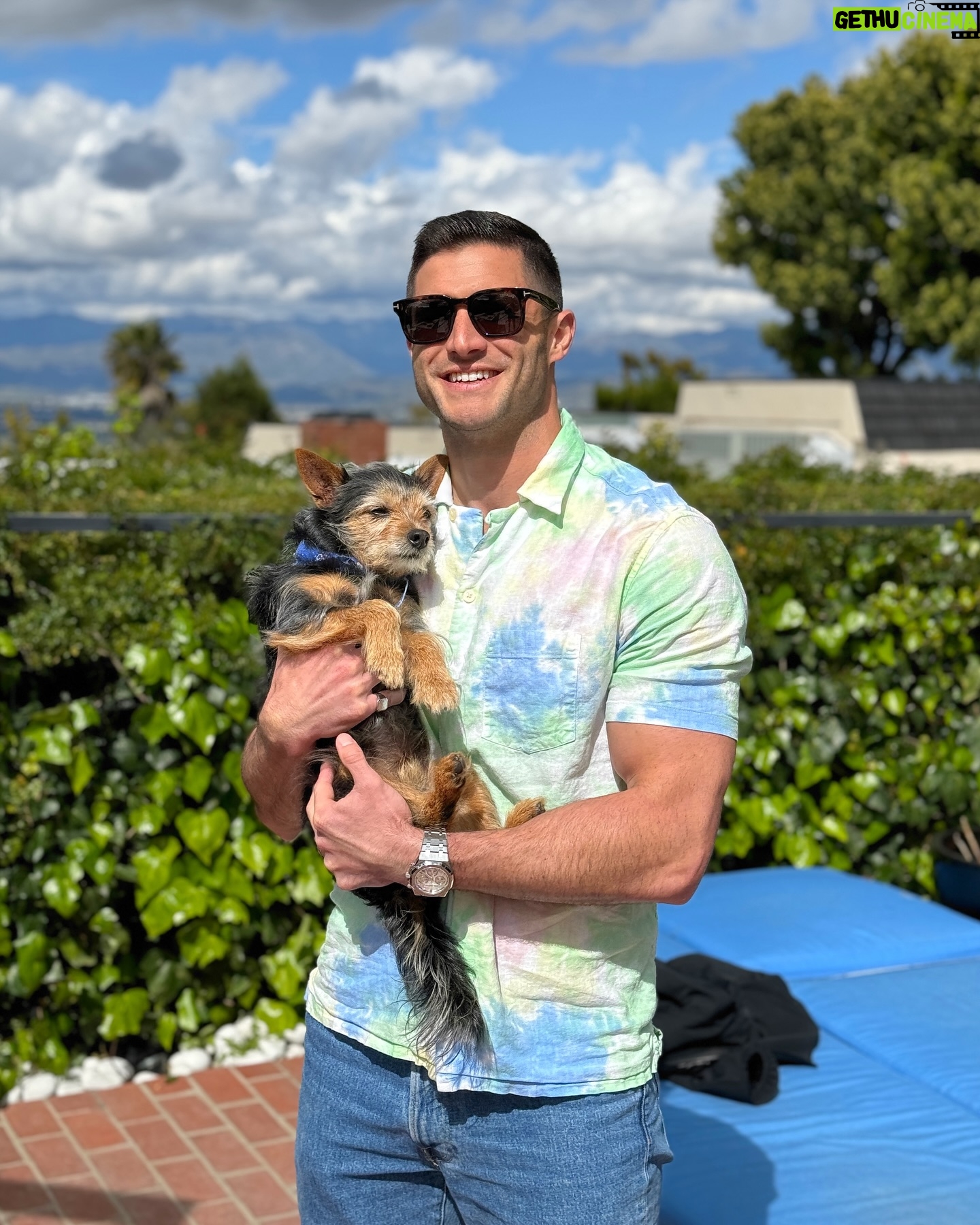 Roberto Portales - 3 Likes - The Easter Puppy 🐶 🐰 #HappyEaster #puppylove #spring #puppy #dog #rescuedog