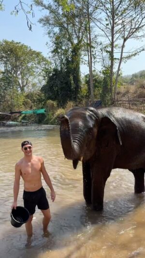 Roberto Portales Instagram - Miss this sweetheart 🐘 #throwback #chiangmai #elephant #sanctuary #thailand #husband #travel #husbands #animals