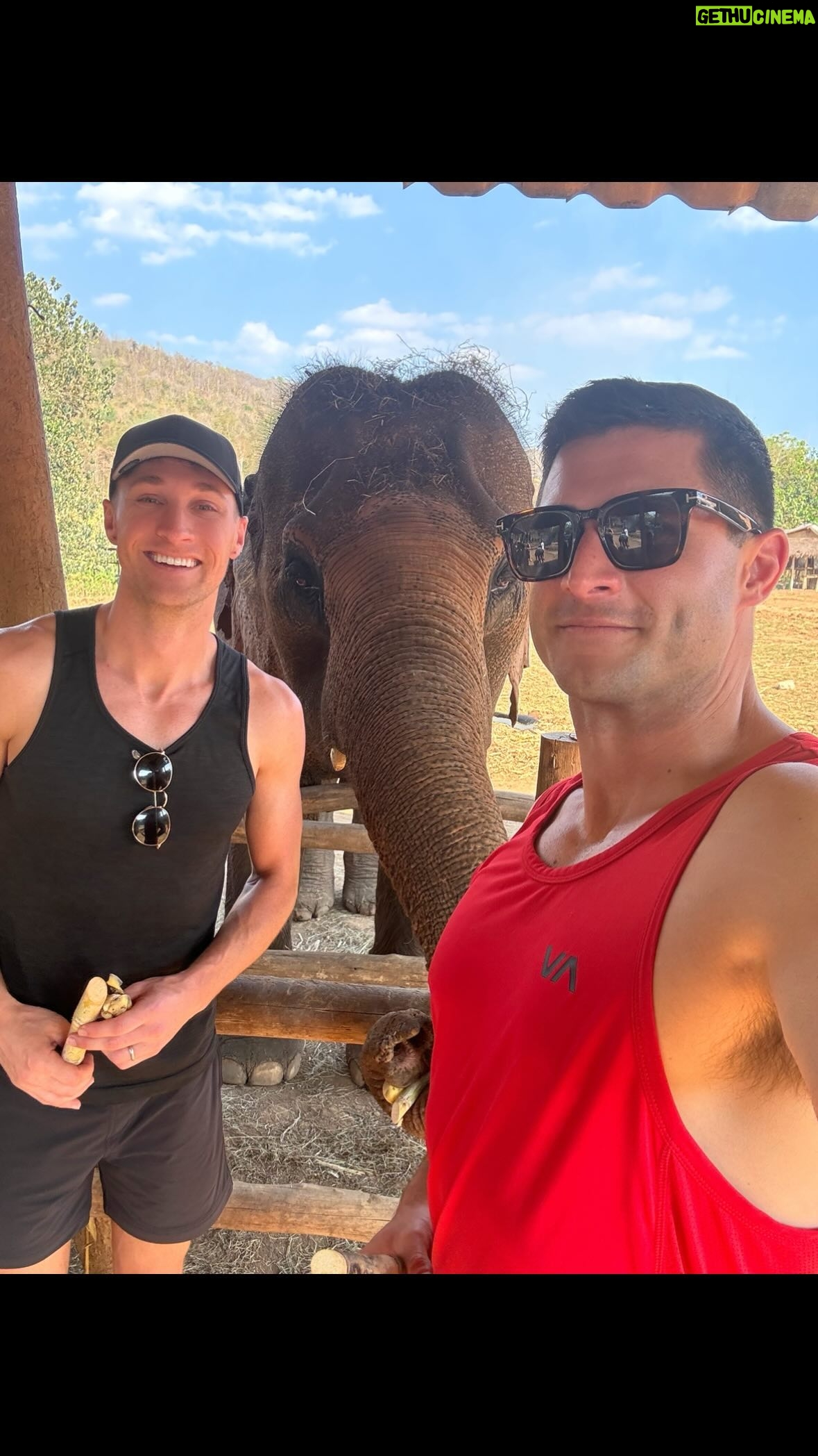Roberto Portales - 3.2K Likes - Asian Elephants eat for 16-19 hours per day 🤯 #elephant #sanctuary #chiangmai #wildlife #snacktime