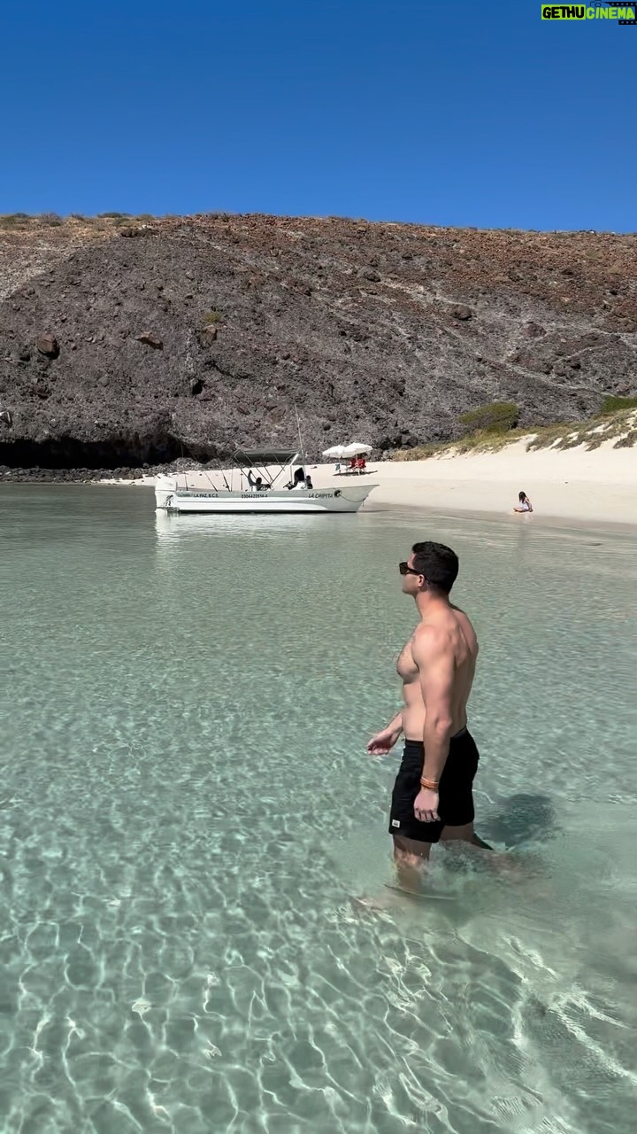 Roberto Portales - 4.1K Likes - Baja California has so much to offer #travel #snorkeling #whaleshark #beach #mexico #sealife