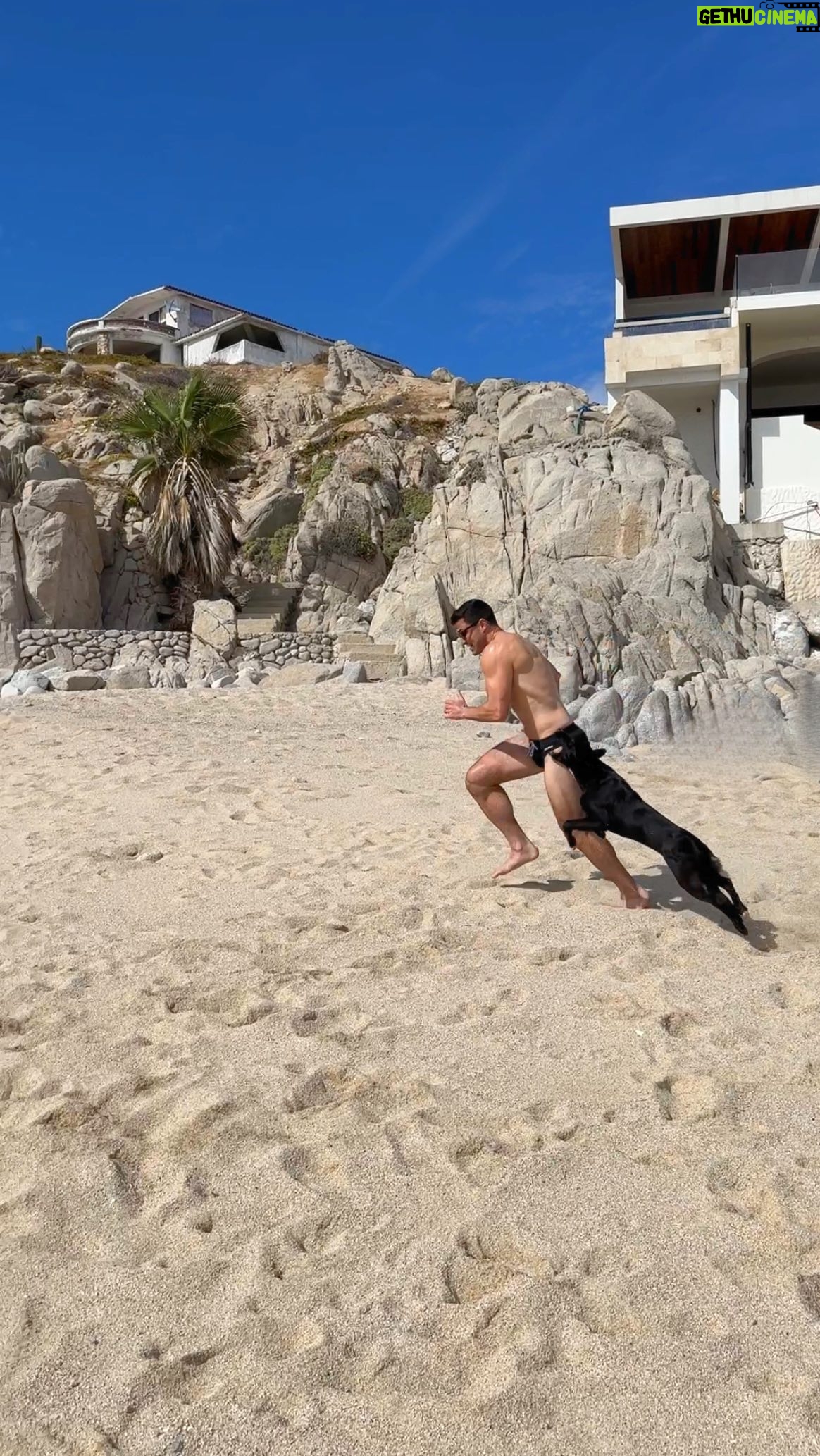 Roberto Portales - 8.7K Likes - This puppy is wearing me out 🐶😅 #beachrun #puppy #beach #speedo #fitness #dog #cardio