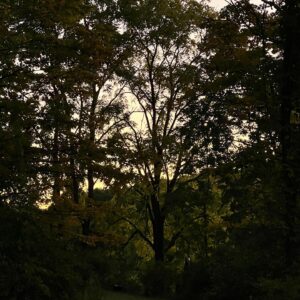 Rochelle Redfield Instagram - #gloaming