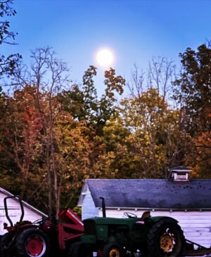 Rochelle Redfield Instagram - Harvest moon