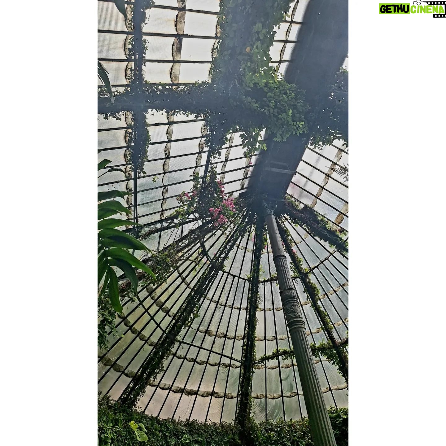 Rocío Muñoz-Cobo - 3 Likes - Hacía mucho (demasiado) que no venía al invernadero tropical del Jardín Botánico, unos de los mejores que he visitado.
Es un escenario perfecto de luz y humedad llenito de plantas exóticas, comestibles, carnivoras, nenúfares, lotos...
El recinto acoge además expos de arte y los martes por la mañana es gratuito.
Es un PLANAZO.
#rocilovesmadrid #madrid #madridcity #planesmadrid