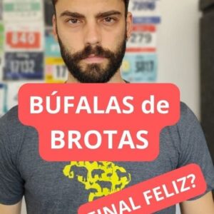 Rodrigo Dorado Instagram - Contagem regressiva pra um final feliz, só depende de nós! #bufalasdebrotas #ativismoanimal #DireitosAnimais
