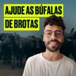Rodrigo Dorado