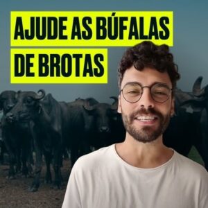 Rodrigo Dorado Instagram - Junte-se a nós para fazer a diferença na vida das Búfalas de Brotas! #AjudeAsBúfalasDeBrotas 🐃

A cada inscrição em um de seus programas gratuitos sobre veganismo, a Geração Vegana vai doar 1 dólar para os santuários que estão cuidando das búfalas de Brotas @ahimsa.santuariovaledarainha @ranchodosgnomos⚡

Cada inscrição conta - por isso, venha fazer parte desta causa e transformar vidas! 🌱💚

Comente "búfalas" e receba o link para se inscrever gratuitamente. 🐃

#ParaTodesVerem: Rodrigo Dorado é um homem branco de cabelos escuros e cacheados e barba. Ele usa óculos redondos e uma camiseta branca. O vídeo também mostra imagens das búfalas de Brotas.

#Veganismo #Búfalas #AmoAnimais #AmorAosAnimais #BúfalasDeBrotas