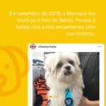 Rodrigo Dorado