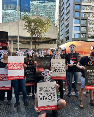 Rodrigo Dorado Instagram - Vamos dizer CHEGA para a exportação de animais vivos!

Assine a petição nos stories ou no insta da #mfa 
#direitosanimais #direitoanimal
