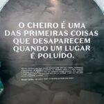Rodrigo Dorado
