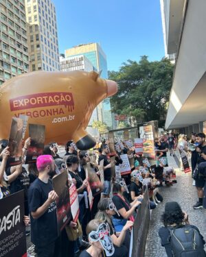 Rodrigo Dorado Instagram - Vamos dizer CHEGA para a exportação de animais vivos!

Assine a petição nos stories ou no insta da #mfa 
#direitosanimais #direitoanimal