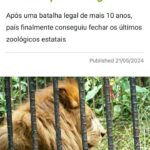 Rodrigo Dorado